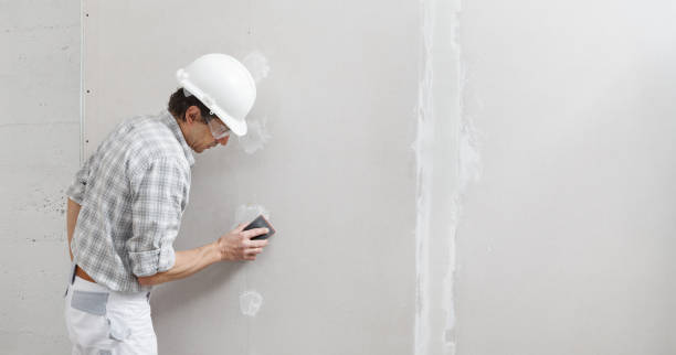 Best Crawl Space Mold Remediation  in Avonia, PA