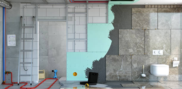 Best Post-Construction Mold Inspection  in Avonia, PA