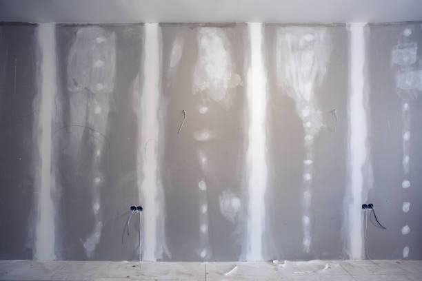 Biohazard Mold Removal in Avonia, PA